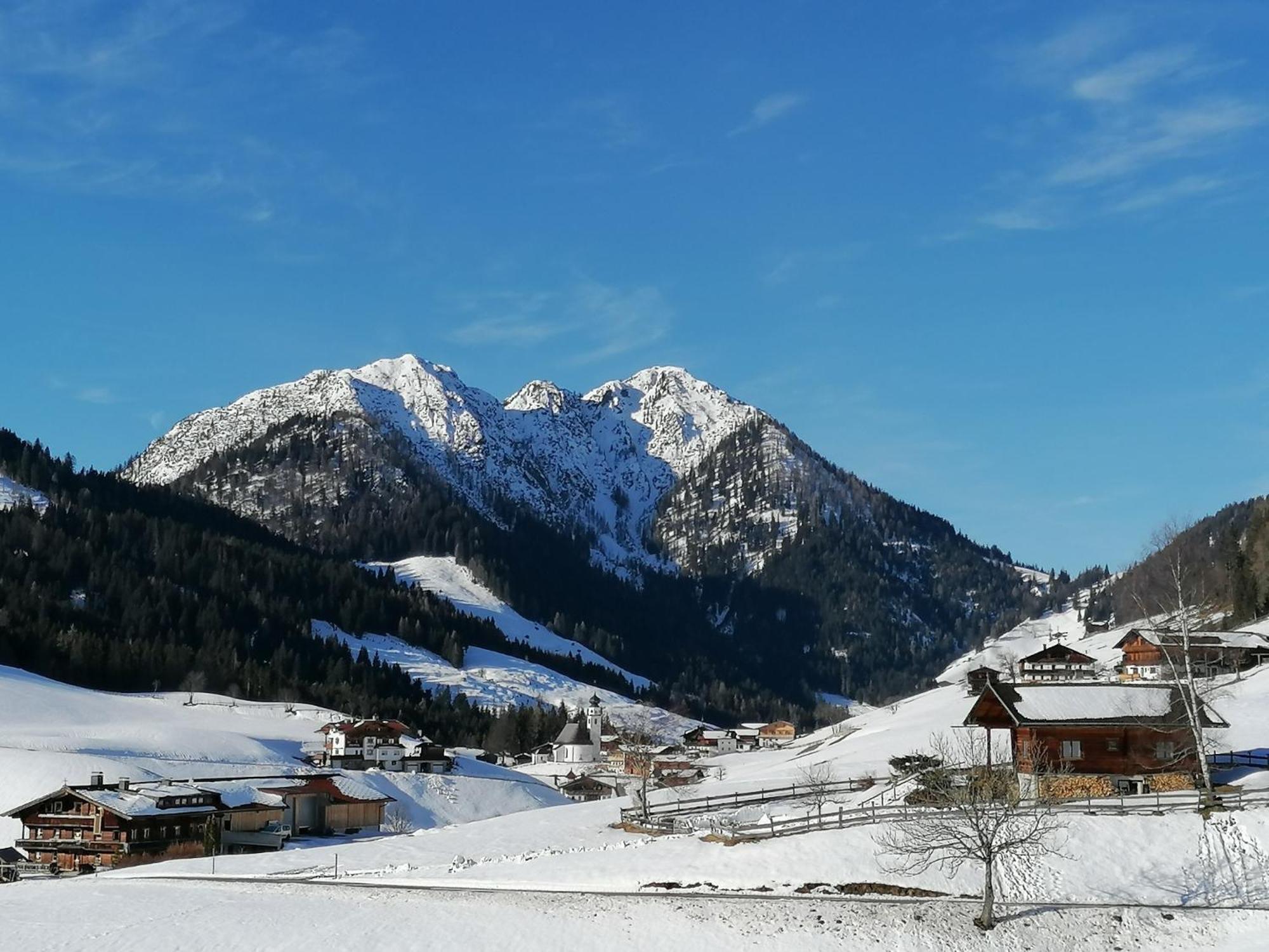 Ferienwohnung Wildschoenau By Fewo-Plan In Panoramalage Wild191 Thierbach Dış mekan fotoğraf